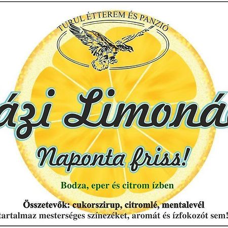 图卢艾特伦酒店 Kaposvár 外观 照片