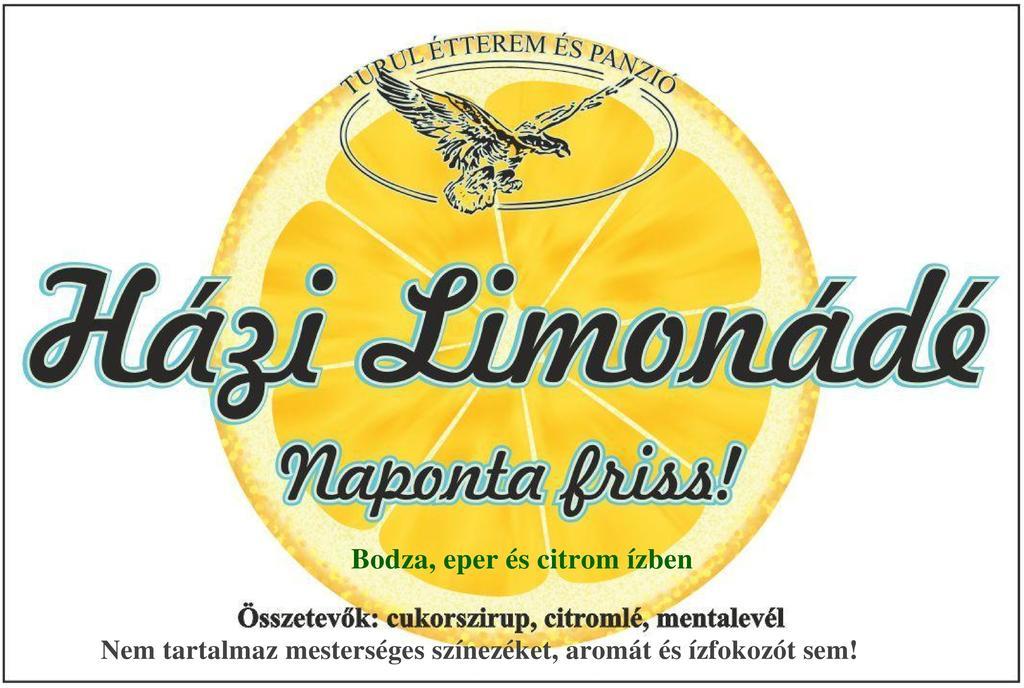 图卢艾特伦酒店 Kaposvár 外观 照片